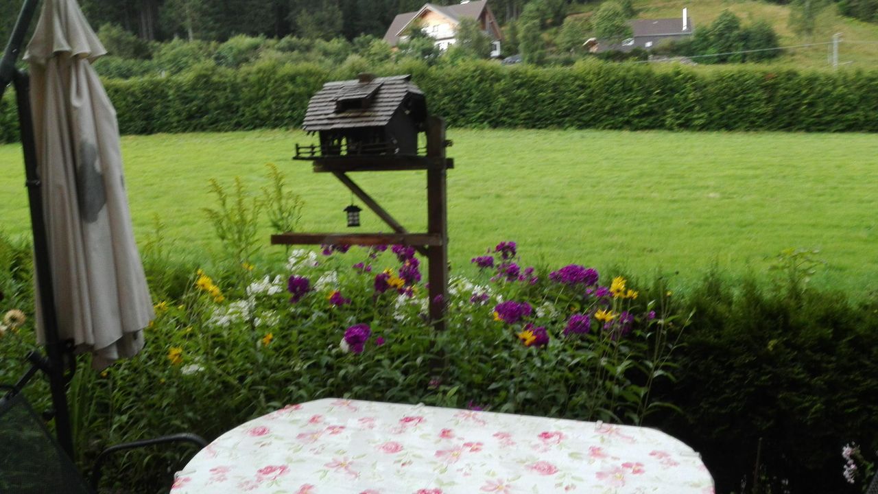 Vorm Haus Vorm Haus